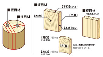 木取り