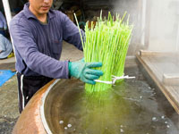 選別・脱穀・釜茹